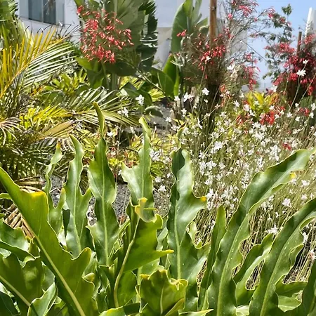 Casa Domino * Villaverde