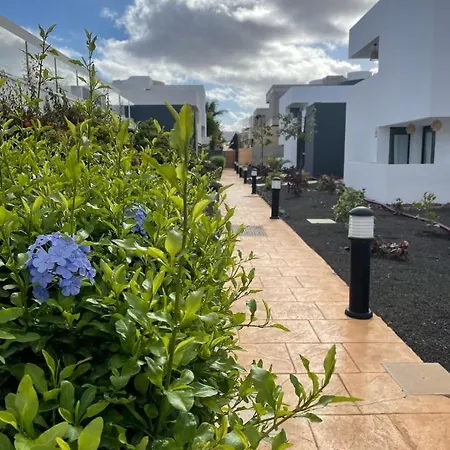 Casa Domino Apartament