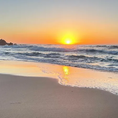 Apartament Casa Domino *