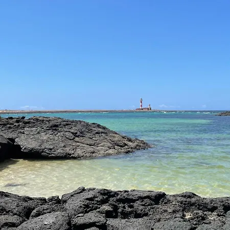 Casa Domino Apartament *