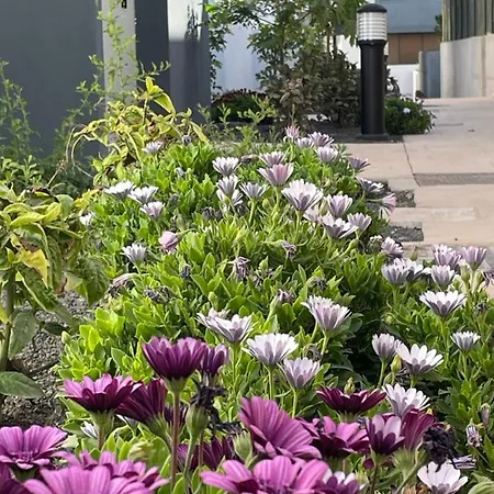 Apartament Casa Domino Villaverde (Fuerteventura)