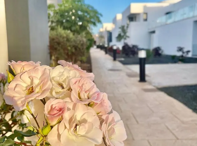 Casa Domino * Villaverde (Fuerteventura)