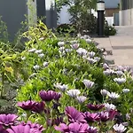 Apartament Casa Domino Villaverde (Fuerteventura)