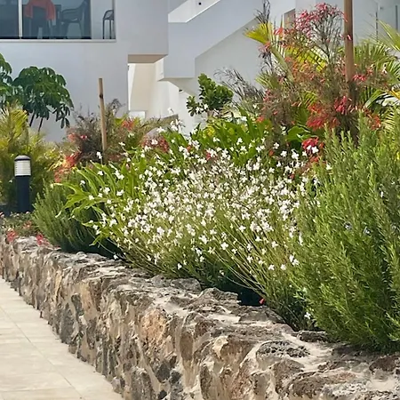 Casa Domino