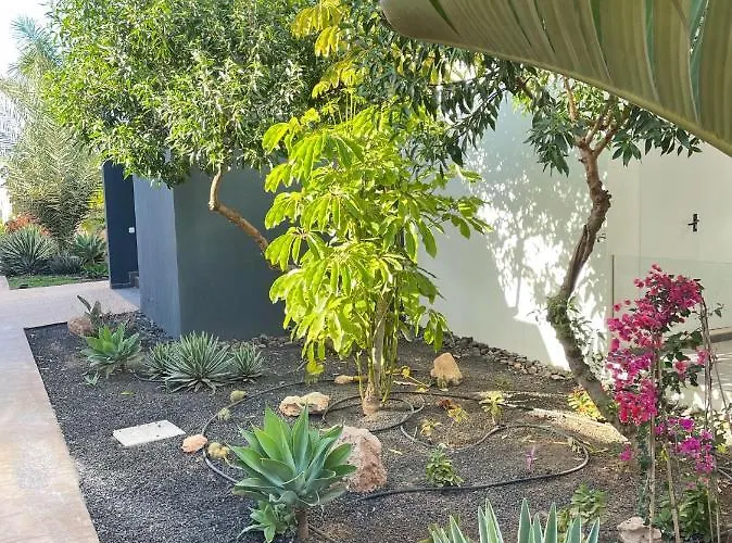 Casa Domino דירה Villaverde (Fuerteventura)