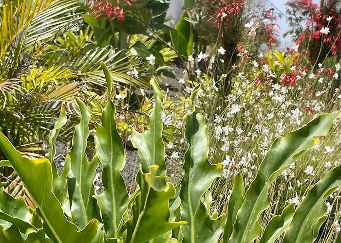 Casa Domino * Villaverde (Fuerteventura)