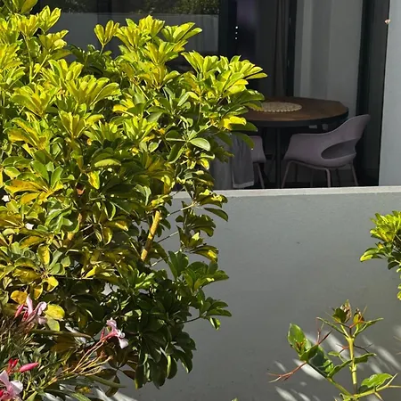 Casa Domino Villaverde (Fuerteventura)